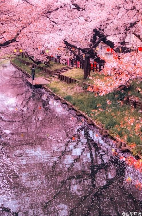 山東十七城市能見度排名