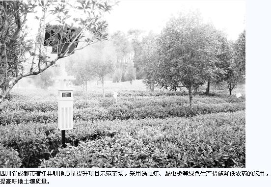 農業生產既是土壤污染的重要原因，又是最大受害者——耕地治污：從改變農業發展方式做起