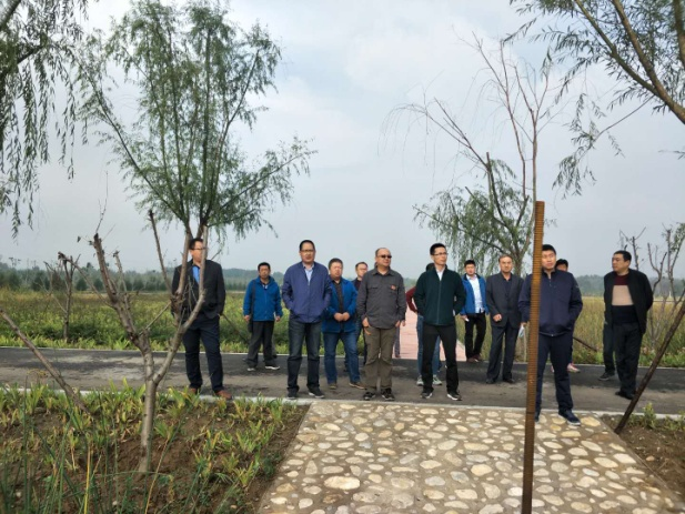 山東省環科院環境工程有限公司承建的淄川區柳泉潛流濕地工程EPC項目和張相湖潛流濕地工程EPC項目順利通過竣工驗收